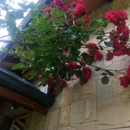 Casa de Férias Boomerang