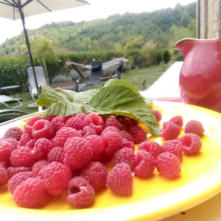 Tatil Evi Boomerang *
